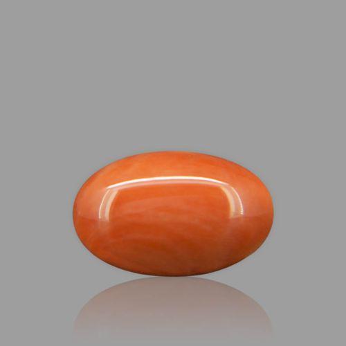Red Coral - 10.54 Carat