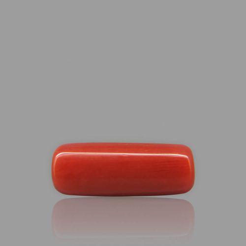 Shubh Gems Red Coral - 7.10 Carat