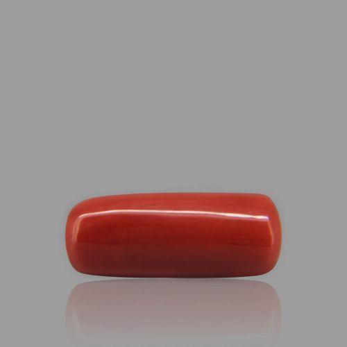 Shubh Gems Red Coral - 4.87 Carat
