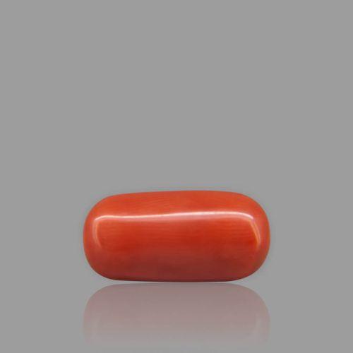 Shubh Gems Red Coral - 7.53 Carat