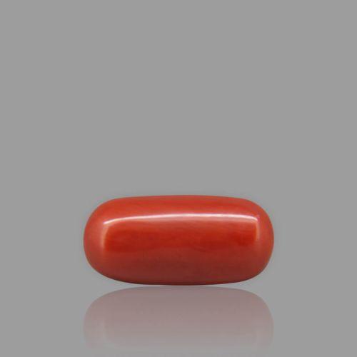 Shubh Gems Red Coral - 5.00 Carat