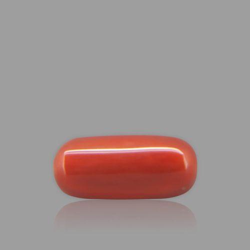 Shubh Gems Red Coral - 6.95 Carat