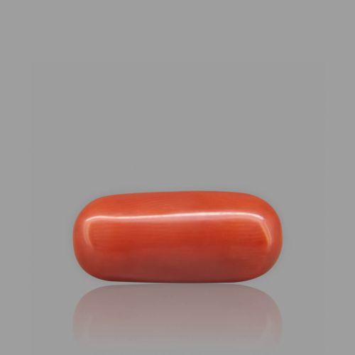 Shubh Gems Red Coral - 6.95 Carat