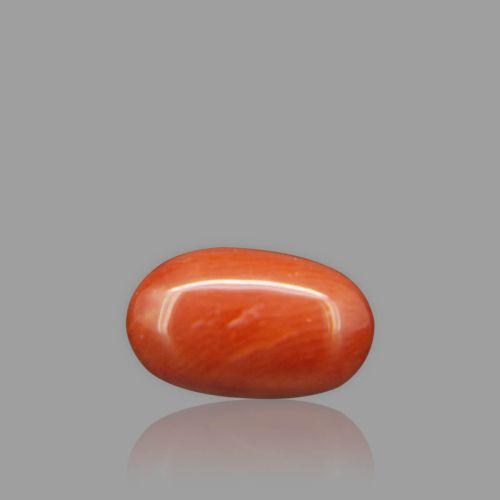Natural Red Coral - 2.80 Carat