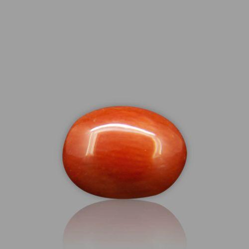 Natural Red Coral - 2.79 Carat