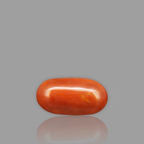 Natural Red Coral - 2.88 Carat