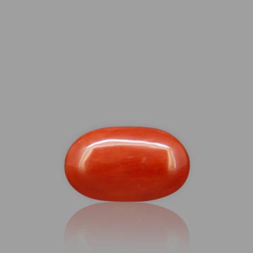 Natural Red Coral - 2.73 Carat