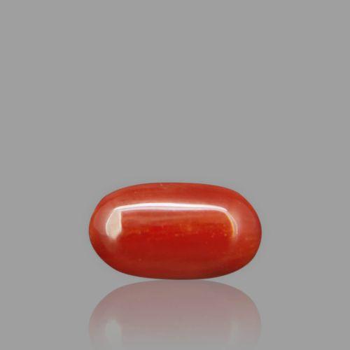 Natural Red Coral - 2.96 Carat
