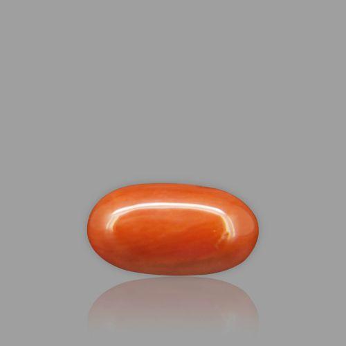 Natural Red Coral - 2.85 Carat