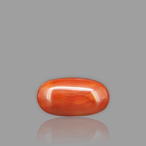 Natural Red Coral - 2.41 Carat