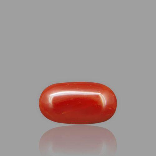 Natural Red Coral - 2.79 Carat