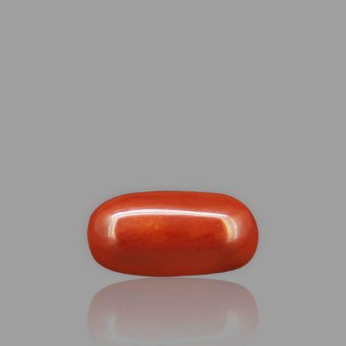 Natural Red Coral - 2.91 Carat