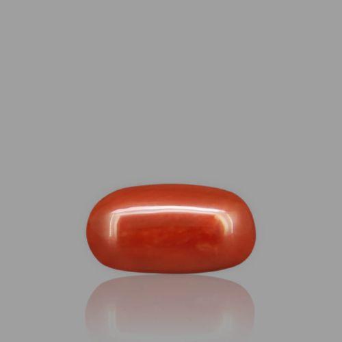 Natural Red Coral - 2.31 Carat