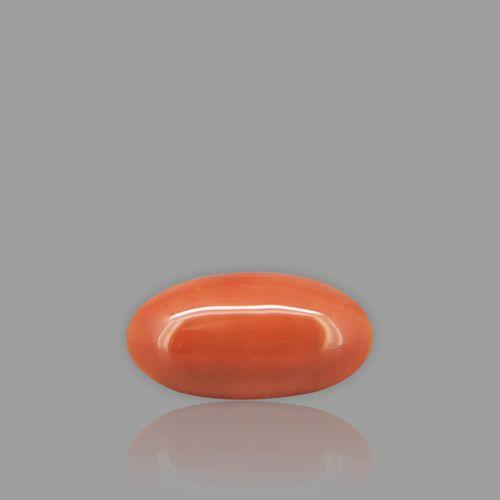Natural Red Coral - 6.07 Carat