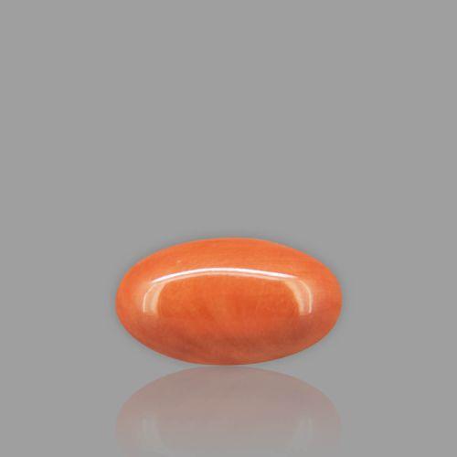 Natural Red Coral - 6.94 Carat
