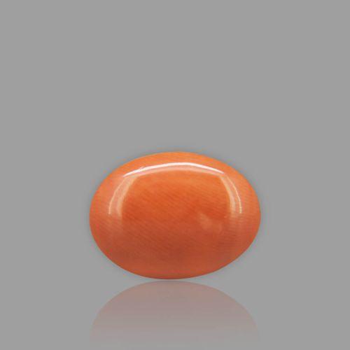 Natural Red Coral - 4.9 Carat
