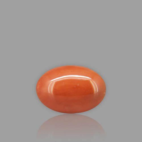 Natural Red Coral - 6.03 Carat
