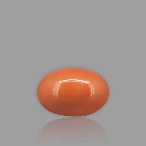 Natural Red Coral - 9.85 Carat