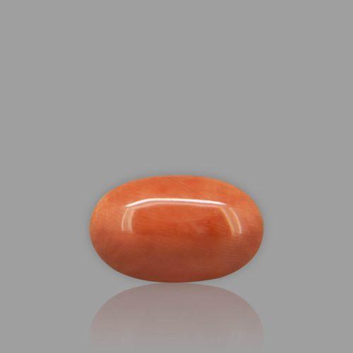 Natural Red Coral - 6.87 Carat