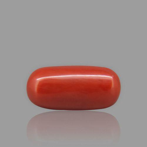 Natural Red Coral - 6.06 Carat