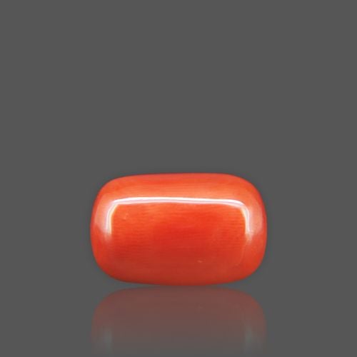Natural Red Coral - 18.00 Carat