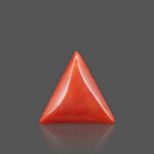 Natural Red Coral - 8.65 Carat