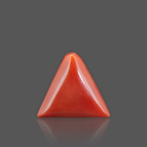 Natural Red Coral - 8.00 Carat