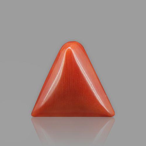 Natural Red Coral - 13.43 Carat