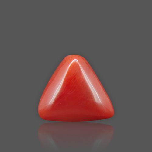 Natural Red Coral - 8.28 Carat