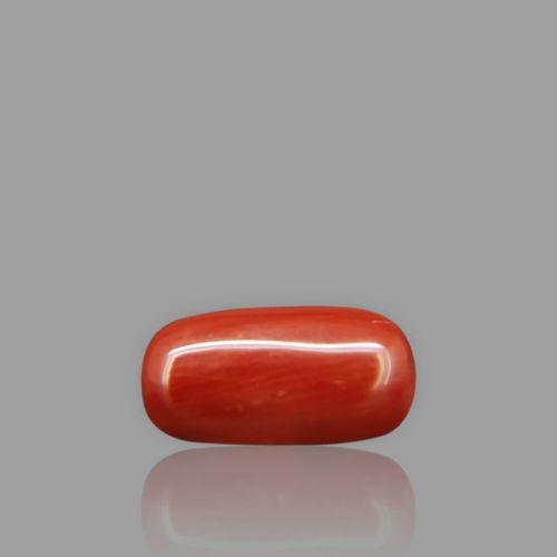Natural Red Coral - 1.98 Carat