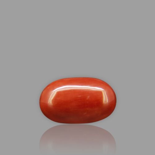 Natural Red Coral - 3.49 Carat