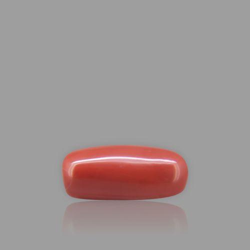 Natural Red Coral - 9.23 Carat