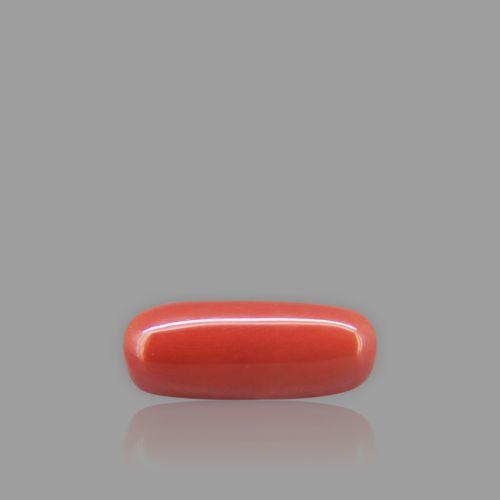 Natural Red Coral - 8.88 Carat