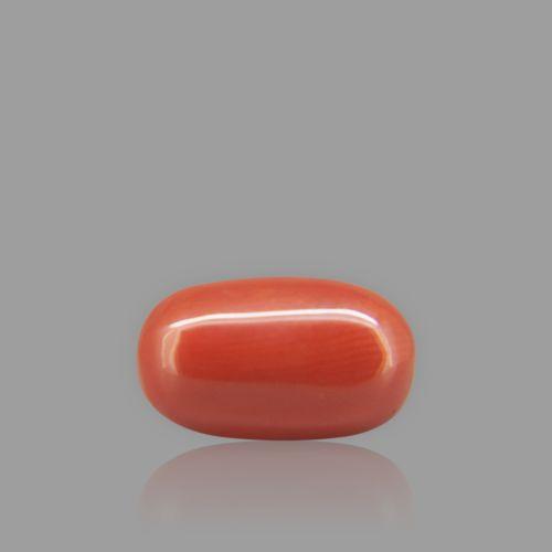 Natural Red Coral - 9.24 Carat