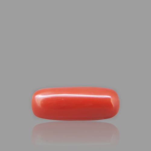 Natural Red Coral - 5.88 Carat