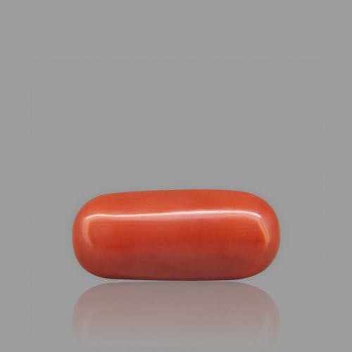 Natural Red Coral - 8.13 Carat