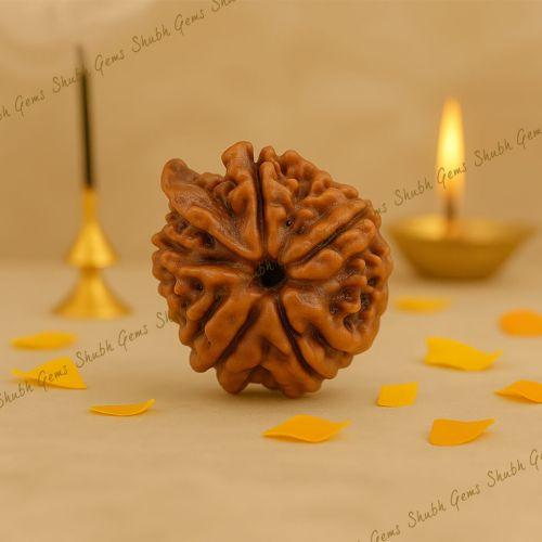 Ganesha Rudraksha
