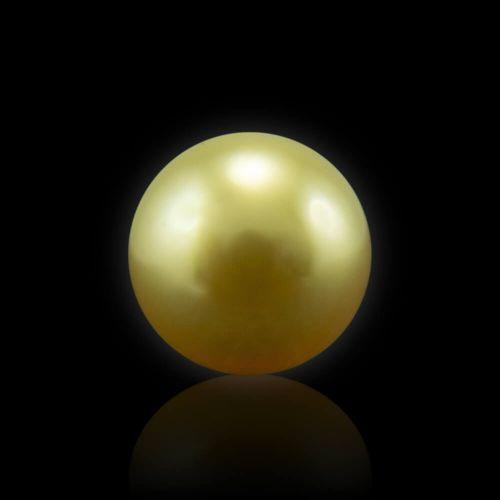 Golden South Sea Pearl - 6.63 Carat (7.25 Ratti)