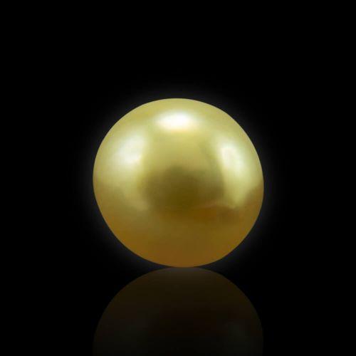 Golden South Sea Pearl - 6.96 Carat (7.50 Ratti)