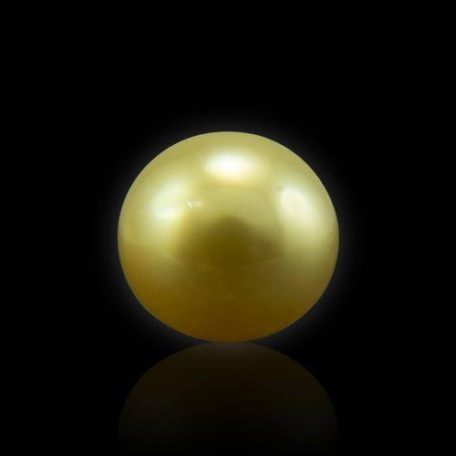 Golden South Sea Pearl - 3.39 Carat (3.70 Ratti)