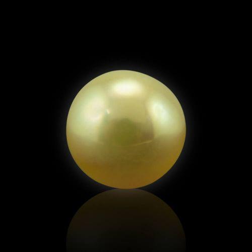 Golden South Sea Pearl - 4.11 Carat (4.50 Ratti)