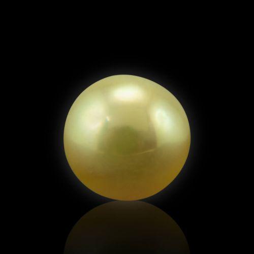 Golden South Sea Pearl - 5.66 Carat