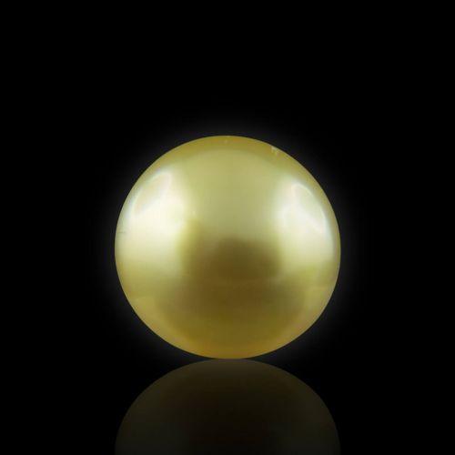 Golden South Sea Pearl - 5.60 Carat