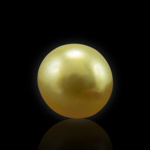 Golden South Sea Pearl - 5.25 Carat