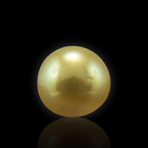 Golden South Sea Pearl - 4.09 Carat