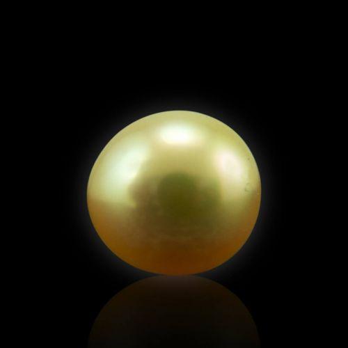 Golden South Sea Pearl - 6.04 Carat