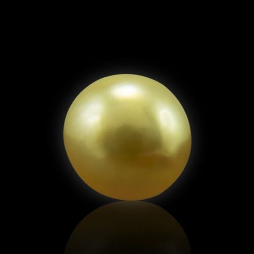 Golden South Sea Pearl - 9.58 Carat