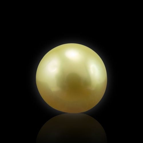 Golden South Sea Pearl - 4.98 Carat