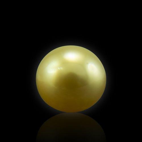 Golden South Sea Pearl - 5.54 Carat