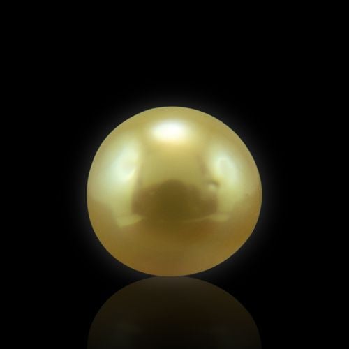 Golden South Sea Pearl - 6.40 Carat